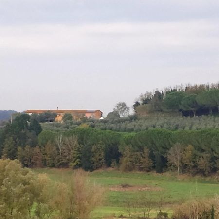 Agriturismo L'Isola Crespina Exterior foto