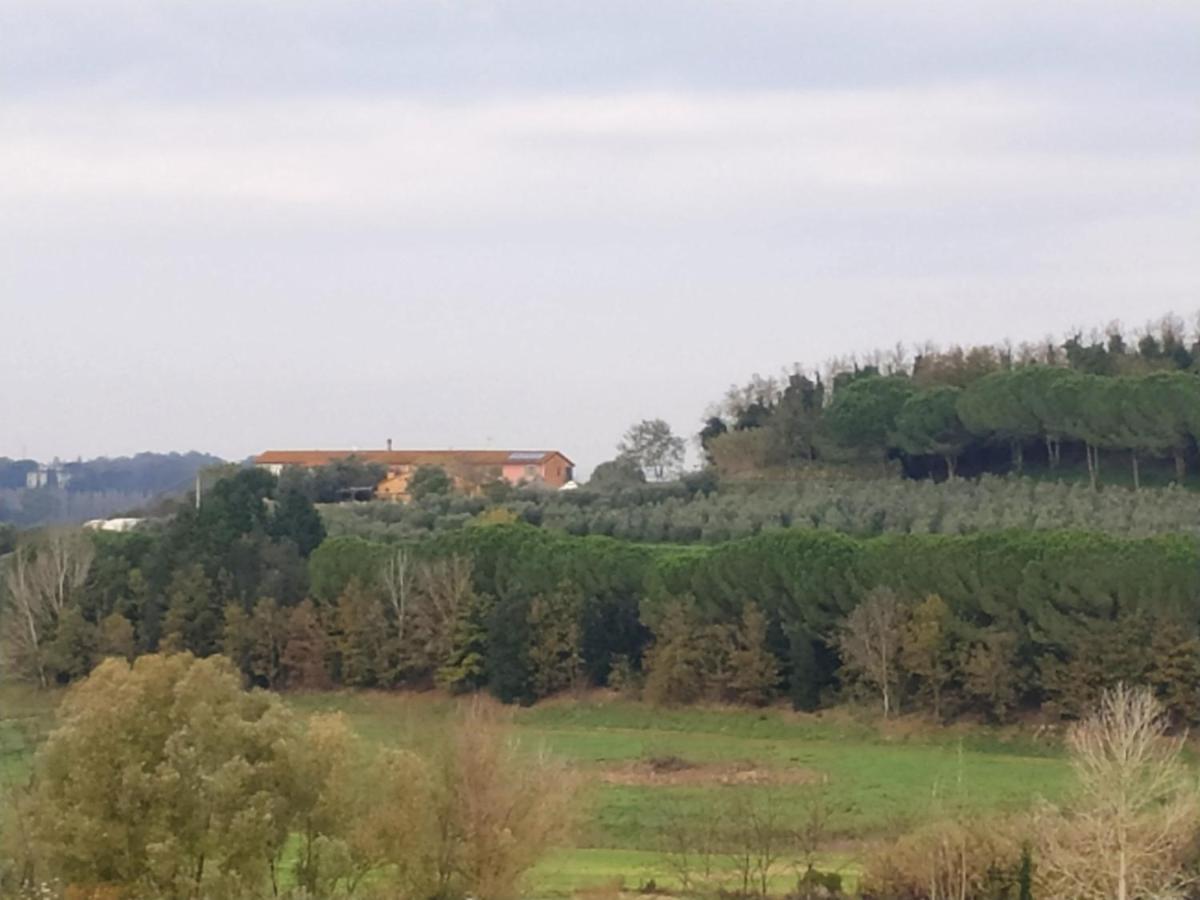 Villa Agriturismo L'Isola Crespina Exterior foto