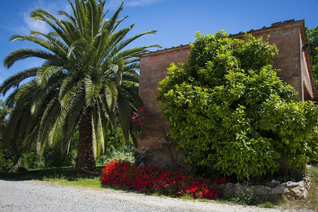 Villa Agriturismo L'Isola Crespina Zimmer foto