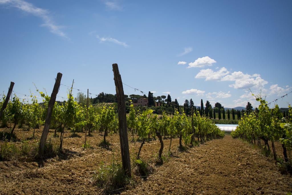 Agriturismo L'Isola Crespina Exterior foto