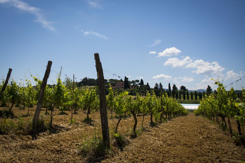 Villa Agriturismo L'Isola Crespina Exterior foto